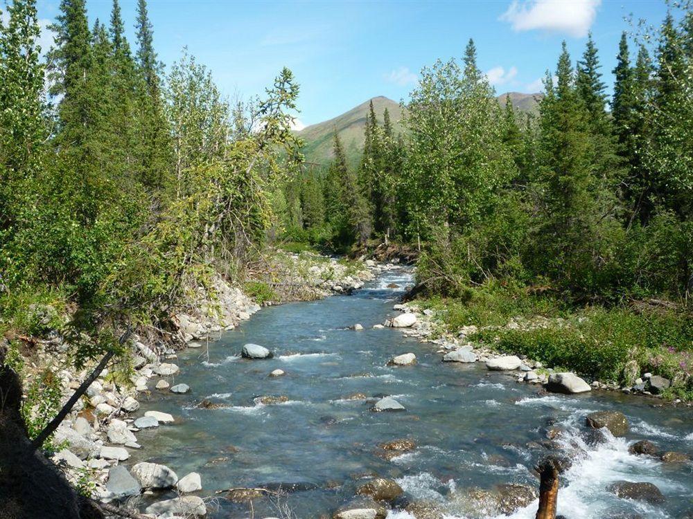 The Perch Resort Denali Park Bagian luar foto