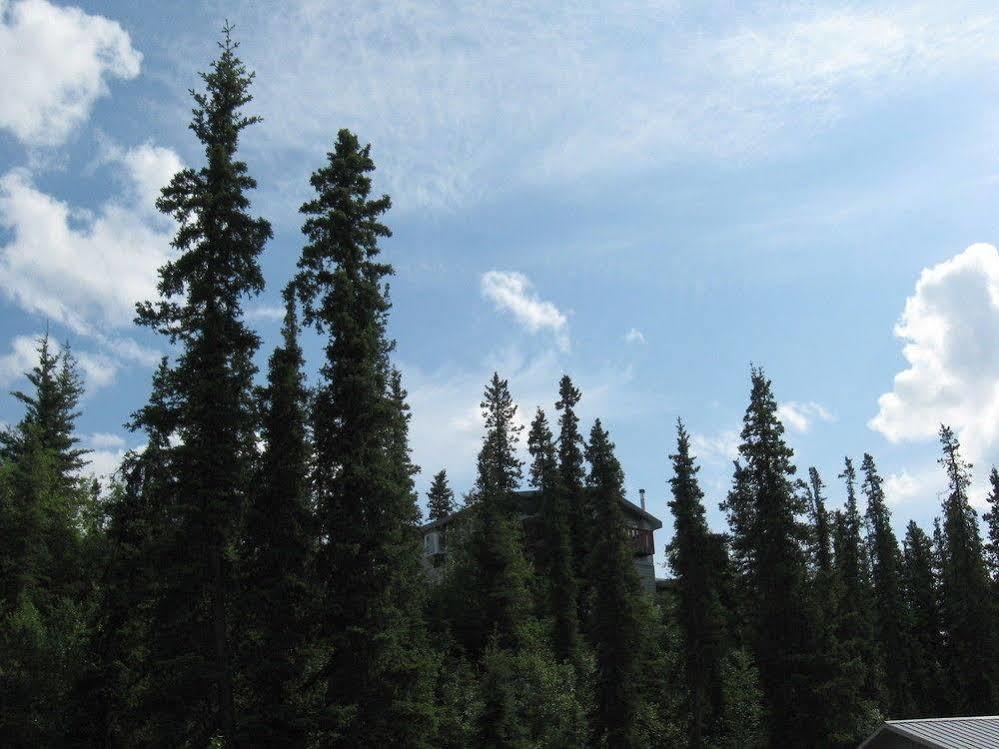 The Perch Resort Denali Park Bagian luar foto