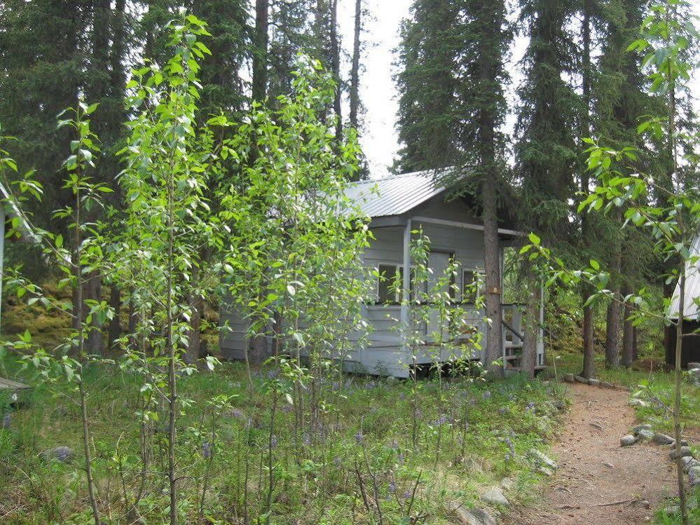 The Perch Resort Denali Park Bagian luar foto
