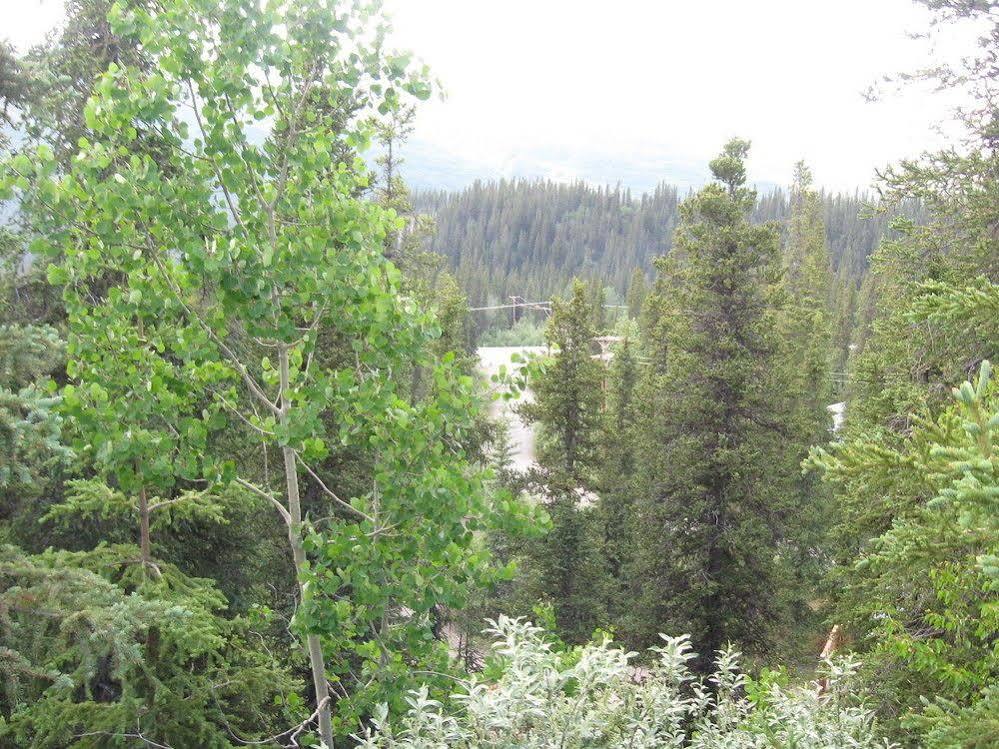 The Perch Resort Denali Park Bagian luar foto