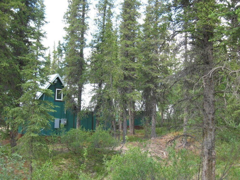 The Perch Resort Denali Park Bagian luar foto